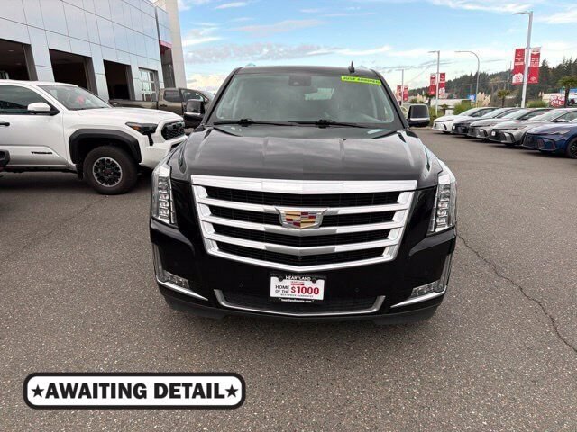 Used 2020 Cadillac Escalade ESV Luxury AWD/4WD image 1