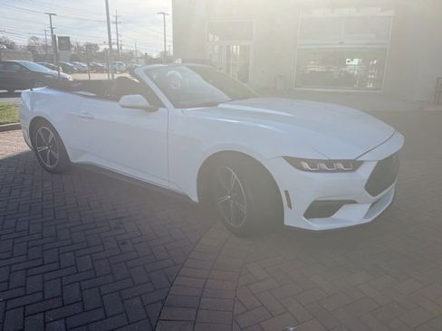 Used 2024 Ford Mustang Convertible image 4