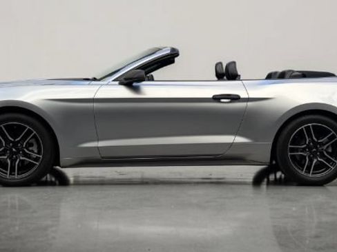 Used 2020 Ford Mustang Premium RWD image 3