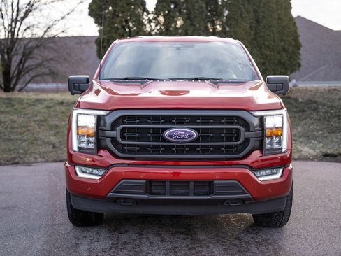 Used 2023 Ford F150 XLT w/ Equipment Group 302A High image 2