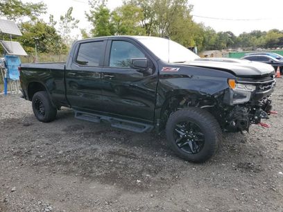 Used 2024 Chevrolet Silverado 1500 LT Trail Boss w/ Protection Package
