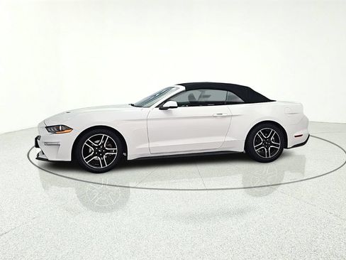 Used 2019 Ford Mustang Premium RWD image 4