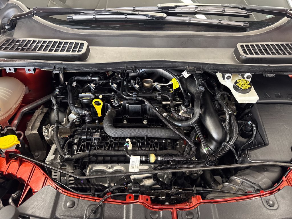 Used 2019 Ford Escape SE AWD/4WD image 23