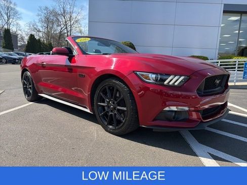 Used 2016 Ford Mustang GT Premium w/ Black Accent Package RWD image 1