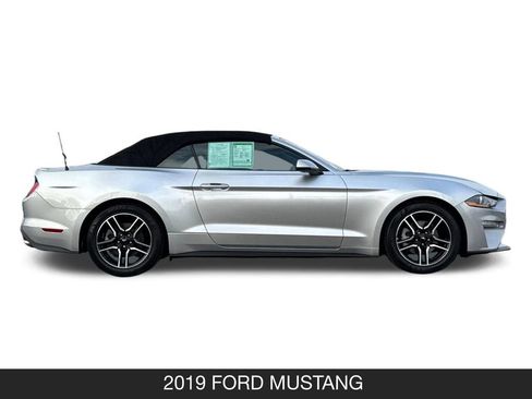 Used 2019 Ford Mustang Premium image 5