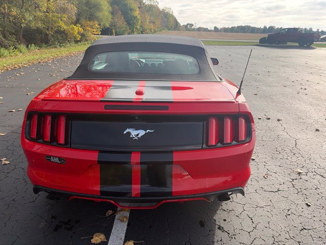 Used 2015 Ford Mustang Premium RWD image 12