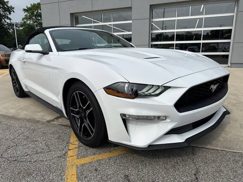 Used 2020 Ford Mustang Premium RWD image 14