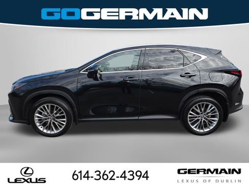 Certified 2025 Lexus NX 350 AWD w/ Cold Area Package image 14