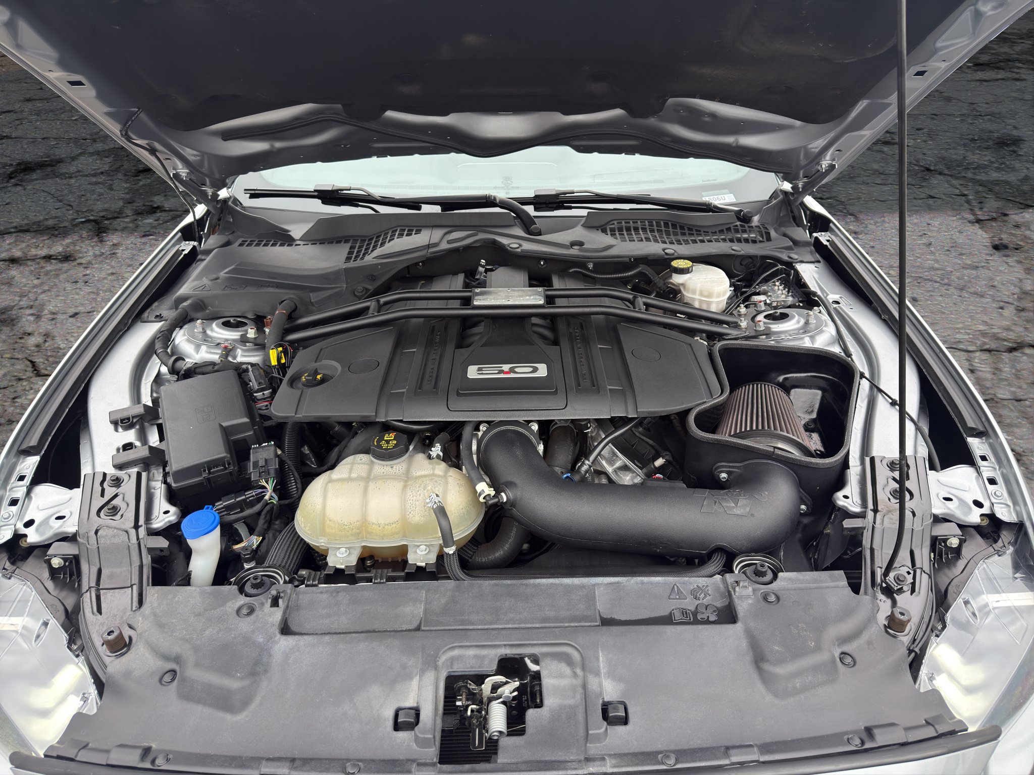 Used 2021 Ford Mustang GT RWD image 19