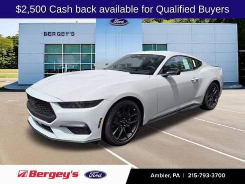 New 2026 Ford Mustang Premium w/ Mustang Nite Pony Package RWD image 1