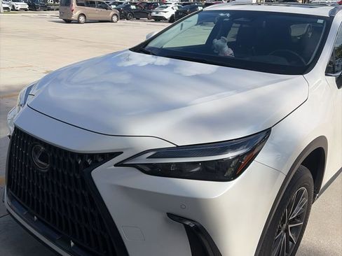 Used 2024 Lexus NX 350h AWD image 4