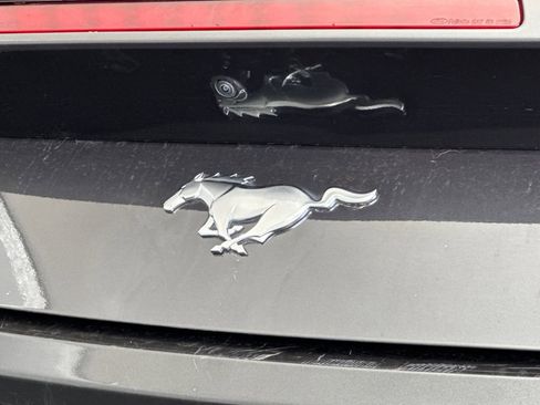 Used 2024 Ford Mustang Premium image 24