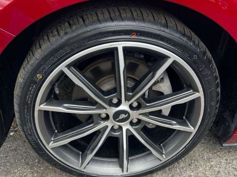 Used 2019 Ford Mustang Premium w/ Equipment Group 201A RWD image 15