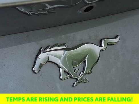 Used 2024 Ford Mustang Premium image 24