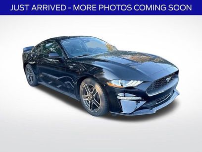 Used 2023 Ford Mustang EcoBoost w/ Equipment Group 101A