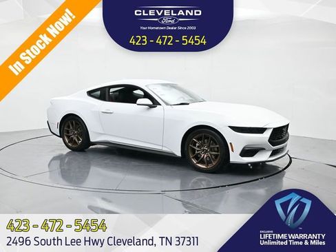 New 2026 Ford Mustang EcoBoost w/ Bronze Appearance Package image 1