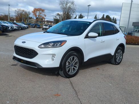 Certified 2022 Ford Escape SEL image 4