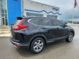 Used 2019 Honda CR-V EX-L image 2