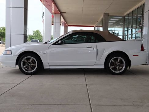 Used 2001 Ford Mustang GT RWD image 4
