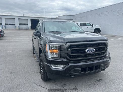 Used 2023 Ford F150 XLT w/ Equipment Group 302A High AWD/4WD image 7