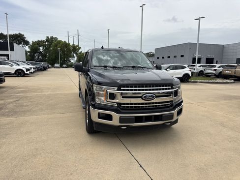 Used 2019 Ford F150 XLT w/ Equipment Group 302A Luxury AWD/4WD image 7