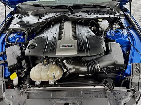 Used 2019 Ford Mustang GT Premium w/ Equipment Group 401A image 10