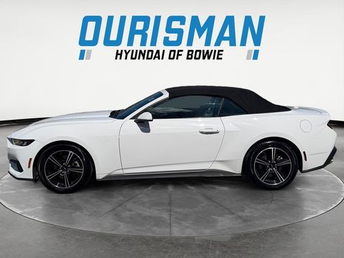 Used 2025 Ford Mustang Premium RWD image 3