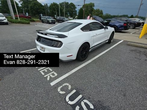 Used 2019 Ford Mustang Coupe w/ Equipment Group 101A RWD image 5