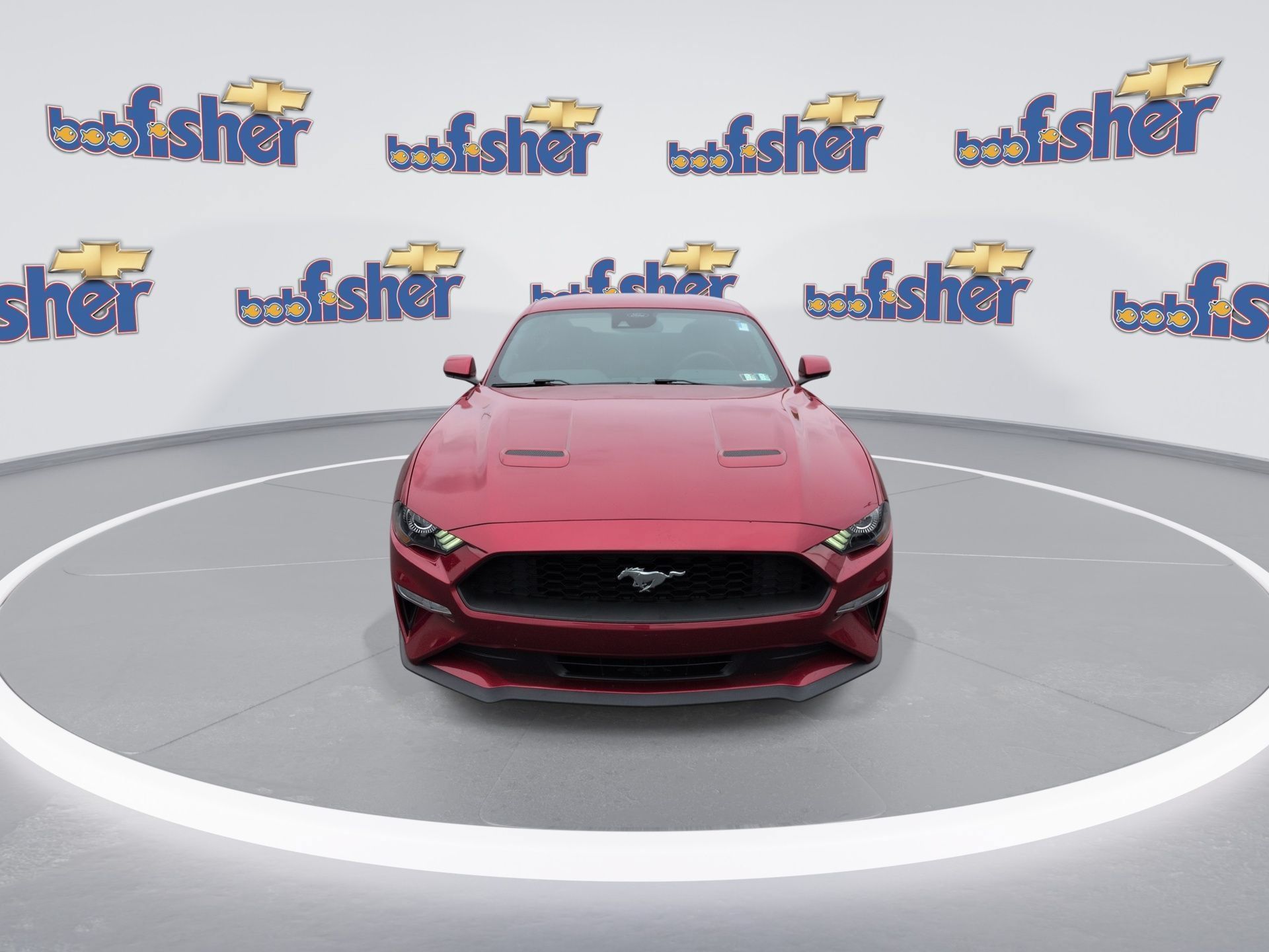 Used 2021 Ford Mustang Coupe RWD image 4