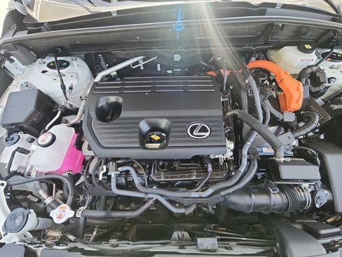 Certified 2025 Lexus NX 350h AWD w/ Cold Area Package image 22