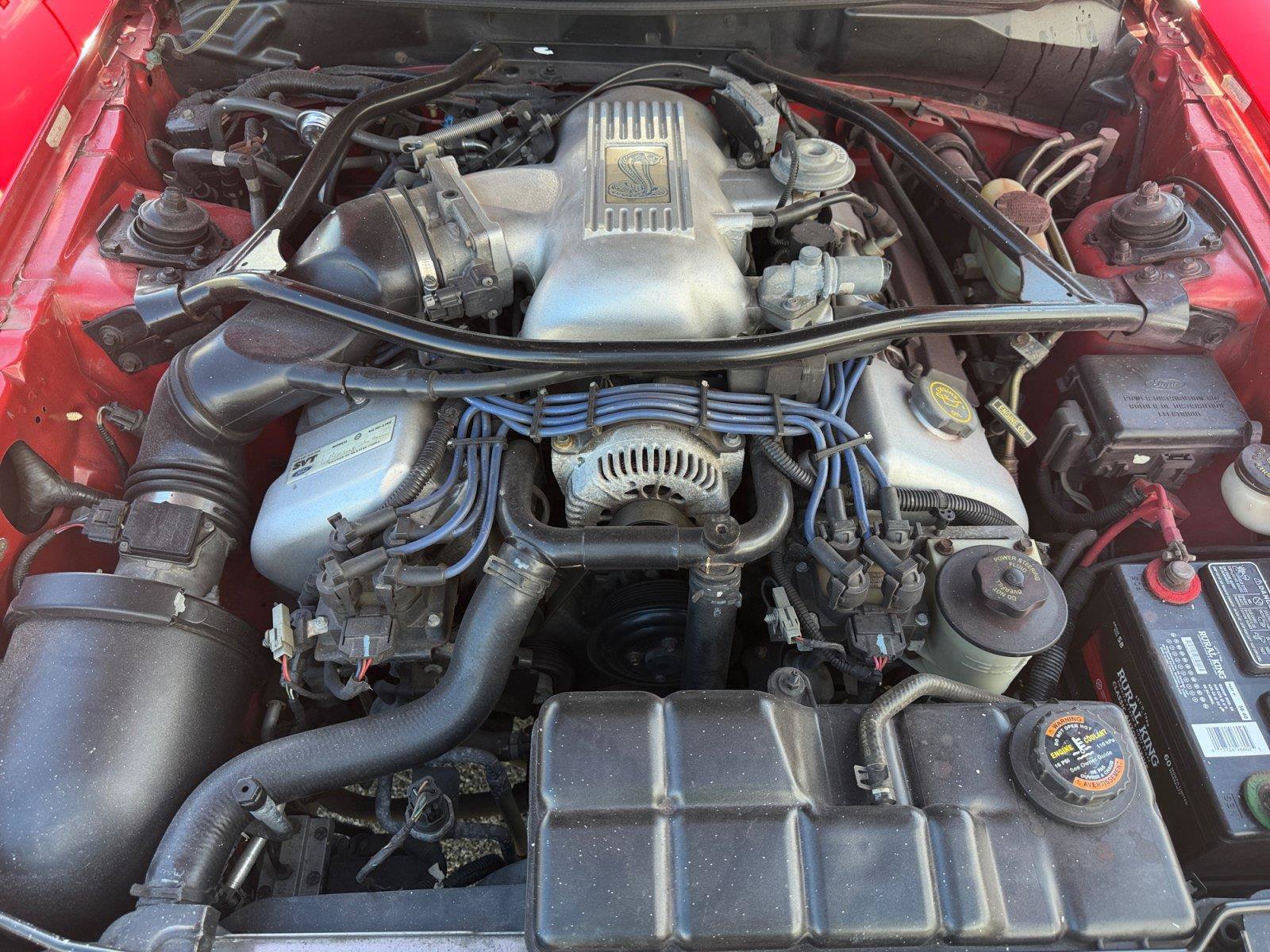Used 1997 Ford Mustang Cobra RWD image 14