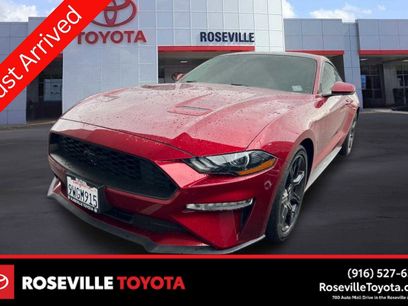 Used 2019 Ford Mustang Premium w/ Equipment Group 201A