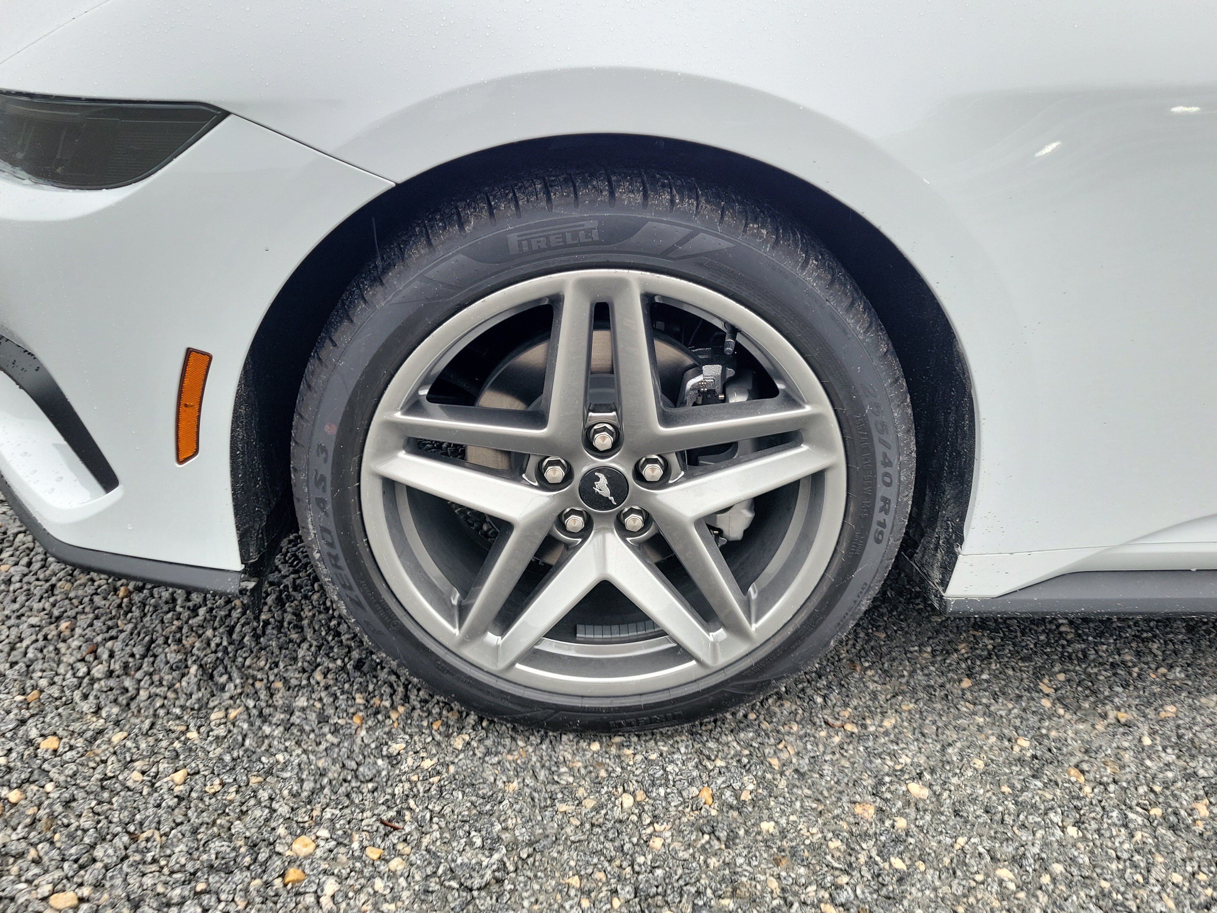 New 2026 Ford Mustang Coupe RWD image 6