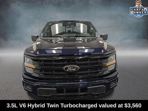 Used 2025 Ford F150 XLT w/ Equipment Group 303A High AWD/4WD image 3