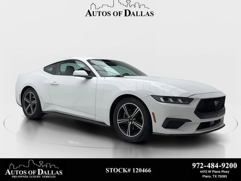 Used 2024 Ford Mustang Premium RWD image 1