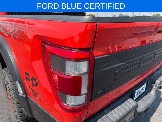 Used 2021 Ford F150 Raptor w/ Equipment Group 801A High AWD/4WD image 25