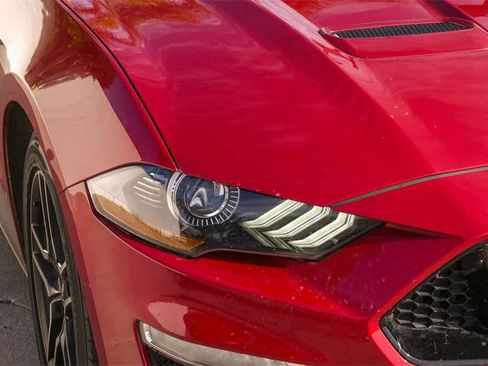 Used 2020 Ford Mustang GT Premium w/ Equipment Group 401A image 4