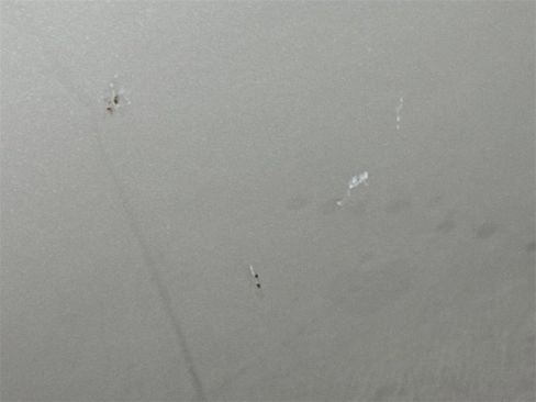 Used 2010 INFINITI G37 Sedan image 30