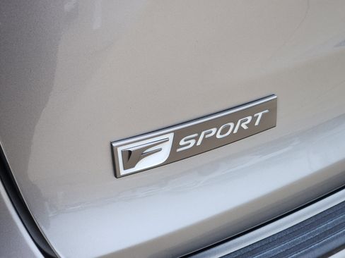 Used 2019 Lexus NX 300 F Sport image 13