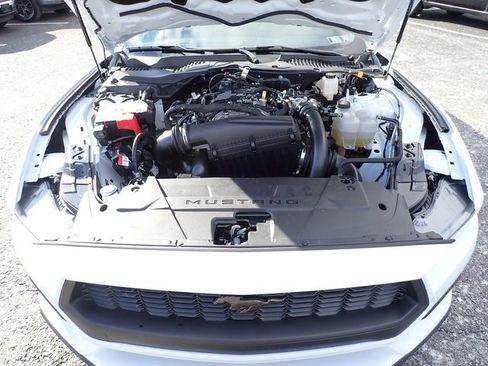 Used 2025 Ford Mustang Premium image 13