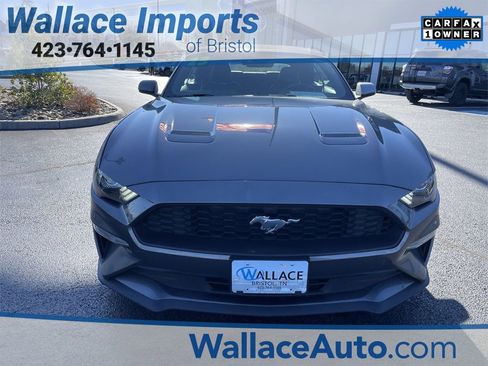 Used 2023 Ford Mustang Premium image 2