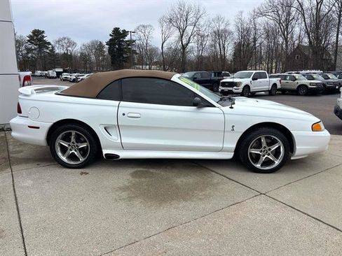 Used 1998 Ford Mustang Cobra image 5