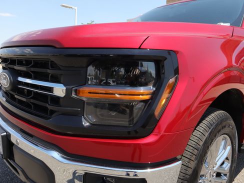 New 2025 Ford F150 XLT w/ Equipment Group 303A High image 14