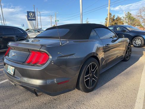 Used 2018 Ford Mustang Premium w/ Equipment Group 201A image 7