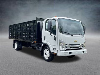 New 2024 Chevrolet Low Cab Forward