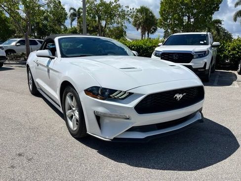 Used 2019 Ford Mustang Convertible RWD image 1