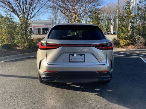 Used 2025 Lexus NX 350h AWD w/ Cold Area Package image 7