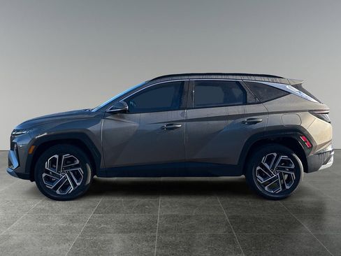 Used 2025 Hyundai Tucson Limited AWD/4WD image 5