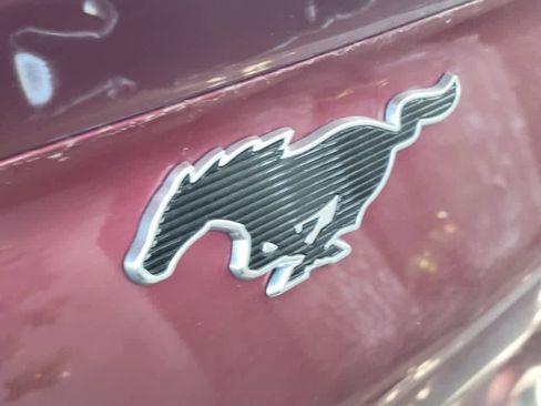 Used 2025 Ford Mustang Mach-E Select AWD/4WD image 6