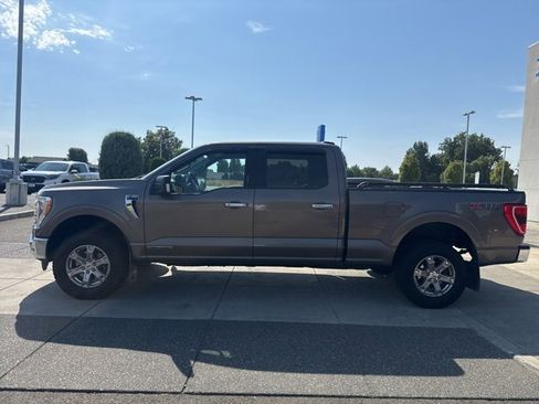 Used 2021 Ford F150 XLT w/ Equipment Group 302A High image 12